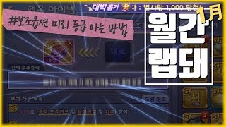[월간랩돼] 20년 1월! 보조옵션 등급 미리 아는 방법