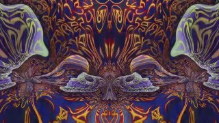 Tipper Ambient Set @ CoSM   Jan 4, 2015