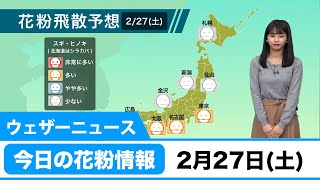 今日の花粉情報　2月27日（土）