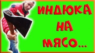 ?? ИНДЮКА НА МЯСО - МЯСО НА КОЛБАСУ! ??