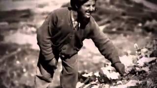Сестры Бэрри Купите папиросы flv