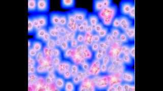 Футаж Переход - Цветы