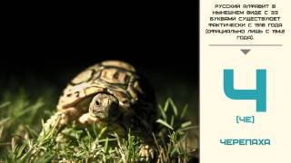 Мир малышам | Развивающие видео для детей | Русский алфавит: Буква Ч