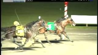 May 21 2017, Confederation Cup XXXIX, Flamboro Downs