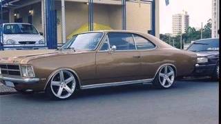 Opala -  Onde tem abelha formiga come sal
