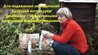 Можно ли компостировать ботву   от картофеля и томатов