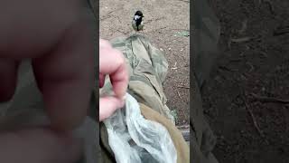 Уговорил синицу взять орешек из моего кармана / Persuaded the chickadee to take a nut from my pocket