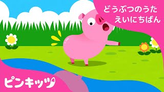 しっぽはどこ？| どうぶつのうた 日英版 | 子ども向け 英語の歌 | おうち英語 | 知育動画 | キッズソング | ピンキッツ！