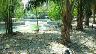 Sample video record samsung galaxy e5