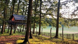Bijzonder logeren: boomtent op Domein van de Grotten van Han