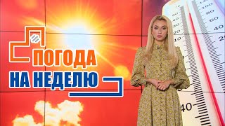 Очень жарко, но ждите грозы! Погода на неделю / Прогноз погоды с 25 по 31 июля 2022 / Плюс-минус