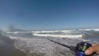 Testing F-lead metal zetz angler's republic