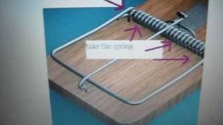 how to make a plug spinner