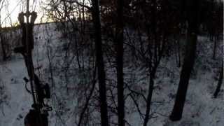 Bow Hunt Wisconsin