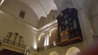 193 Concierto de Órgano de Uriel Valadeau en la Concatedral de San Nicolás