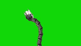 Metus Dance Green Screen (Based on Jhosep Meme)