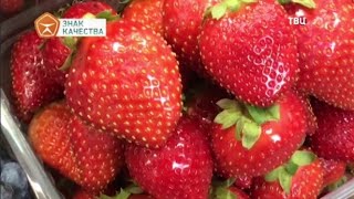 Ягоды. Знак качества