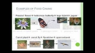 IB Biology Guide By Biotechnology Channel -Topic 4- Ecology and Evolution