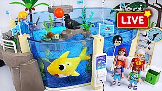 PinkyPopTOY Live Streaming