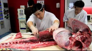[Full HD] Whole Tuna Carving (Maguro)