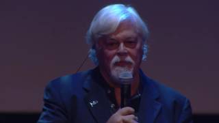 Virginie Robillard,  Paul Watson puis Leina Sato guide une méditation