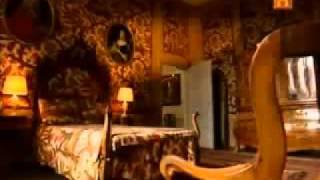 Tulipomanía (Parte 1 de 5)