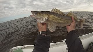 Судак на силикон SAWAMURA, LUNKER CITY, Strike King. GO PRO video 2014.