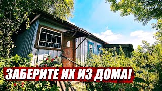 Неожиданная находка в доме! | Орловская обл, Колпнянский район, д.Селиваново