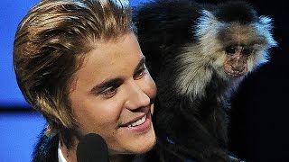 Justin Bieber & Top 5 Weirdest Celebrity Pets