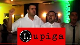 Vukovarski političari pjevaju ustaške pjesme