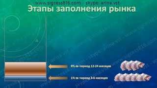 Этапы заполнения рынка
