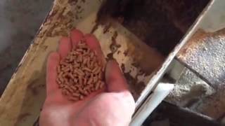 Видео №3 Гранулирования гороха с отрубями! Корм для рыбы!  Corning pea bran! Food for fish!