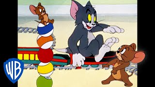 Tom y Jerry en Latino | ¡Cambio de actividades! | WB Kids