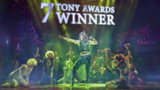 Cats – Once in a Lifetime, Experience the Magic