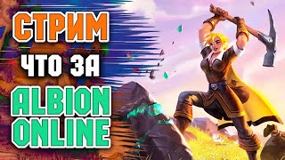 Albion Online КОНКУРС (ГАНГИ, Данжи, Рейды и тд)