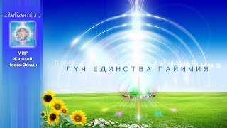 ЛУЧ ЕДИНСТВА ГАЙИМИЯ. 5-летие проекта. Сентябрь 2018. Полная запись эфира ежемесячной встречи.