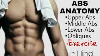 ABS Workout For Men & Women | ABS ANATOMY | Hindi