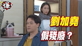 《多情大爆爆》多情城市 EP239 劉加堯 假殘廢？