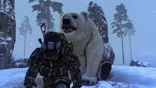 Stalker Online Новогодние квесты "Как стать медведем"