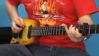 Steinberger Transcale Review