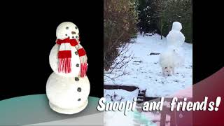 Snoopi of Luxembourg