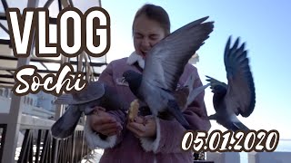 VLOG | Сочи | Кормлю голубей | Посмотрела фильм "Холоп"