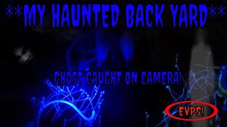 WHAT'S IN MY BACKYARD? **CAUGHT ON CAMERA**!!