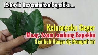 BAPAKKU BILANG JANGAN BILANG SIAPA-SIAPA, TAPI KALI INI SAYA SHARE UNTUK KESEMBUHAN ORANG BANYAK
