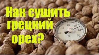 Технологический процесс переработки грецкого ореха: Сушка грецкого ореха. Как сушить орехи?