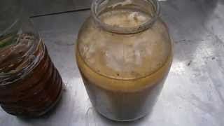 Очистка отработанного масла микроводорослями.Cleaning of waste oil microalgae.