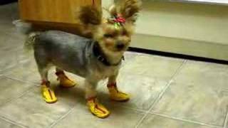 These boots were made for walking