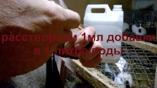 кормовая добавка чиктоник