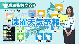 【12/22(火)今日の洗濯天気予報】