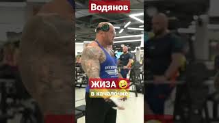 Водянов про некоторых кадров в зале #shorts #спорт #фитнес #тренировка
